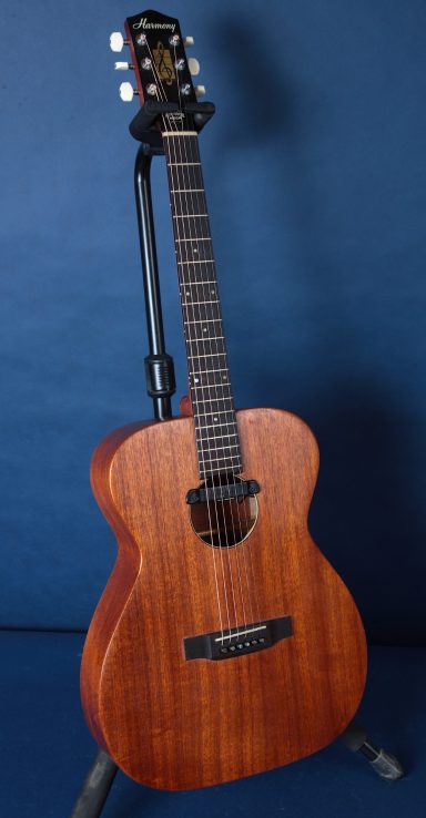 Harmony H165 / X-Braced and Electrified